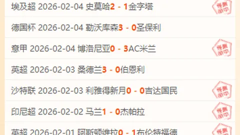 《邮报》曝：勒沃库森考虑麦卡蒂加入维尔茨转会计划