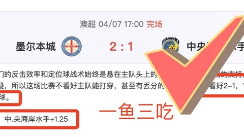 NBA掘金对火箭比赛数据解析